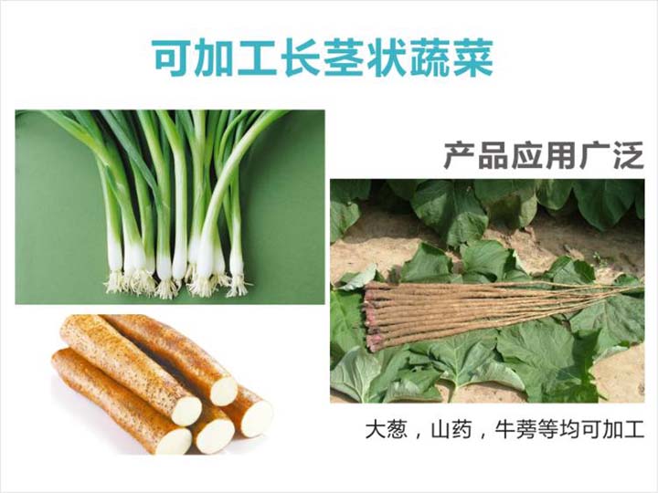 可加工长茎状蔬菜