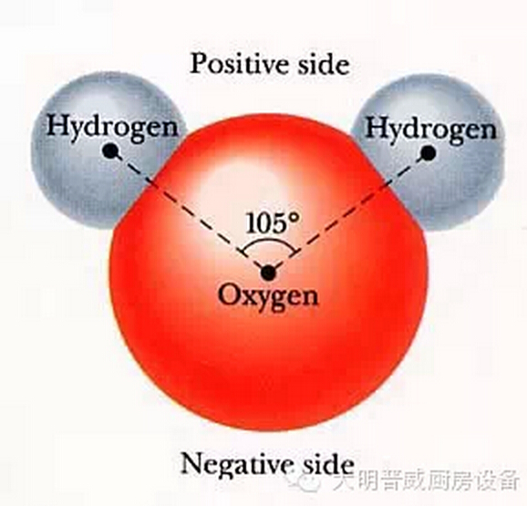 水分子组成结构