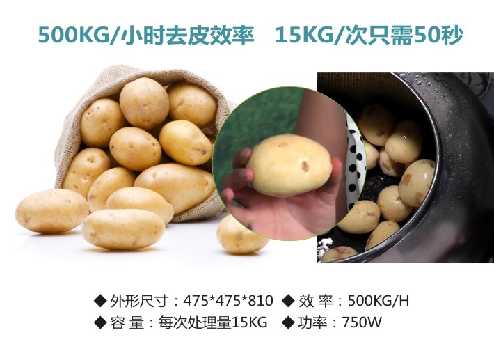 去皮效率500kg每小时