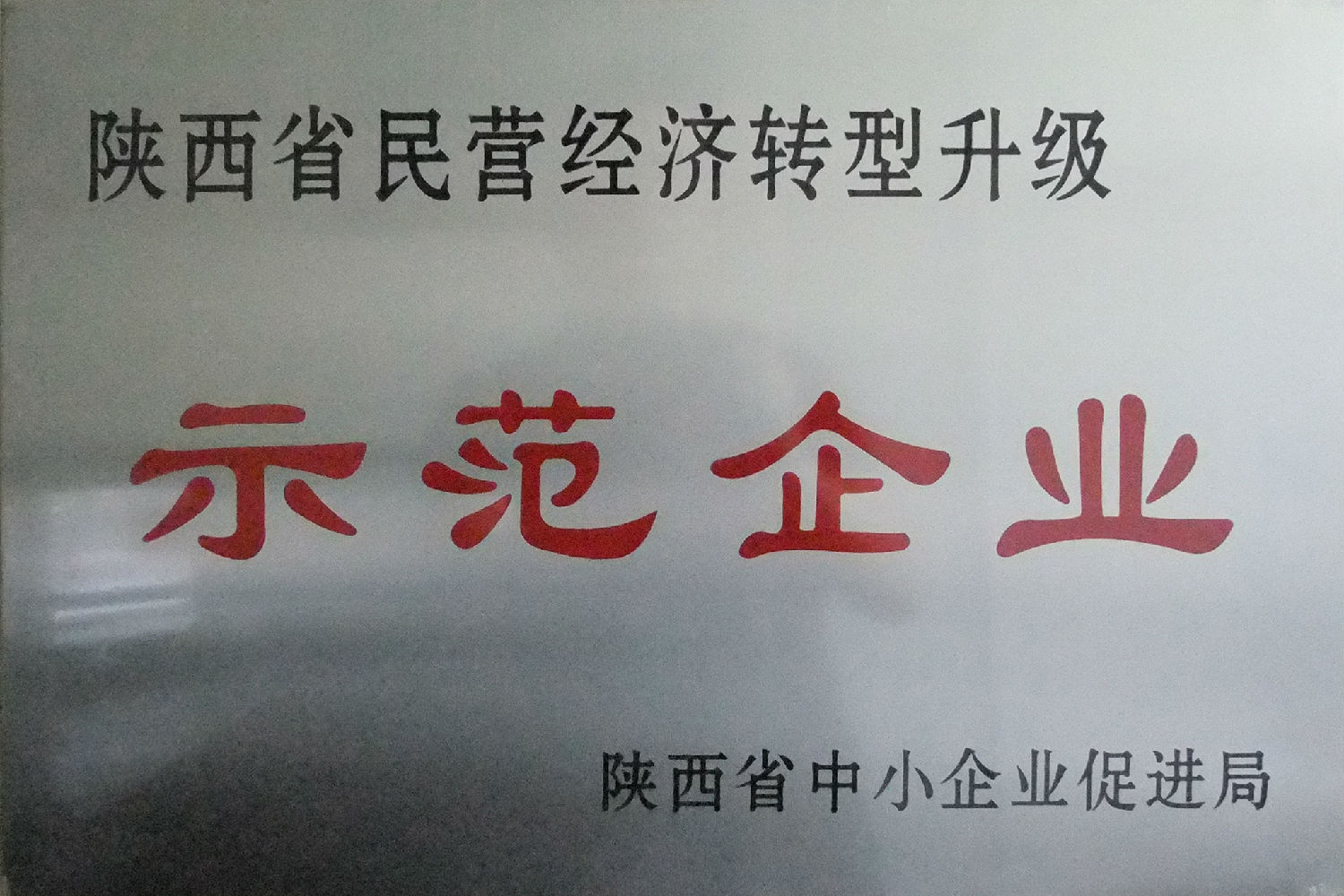 陕西省民营经济转型升级示范企业